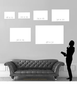 Beautiful Half - Aluminum Metal Print